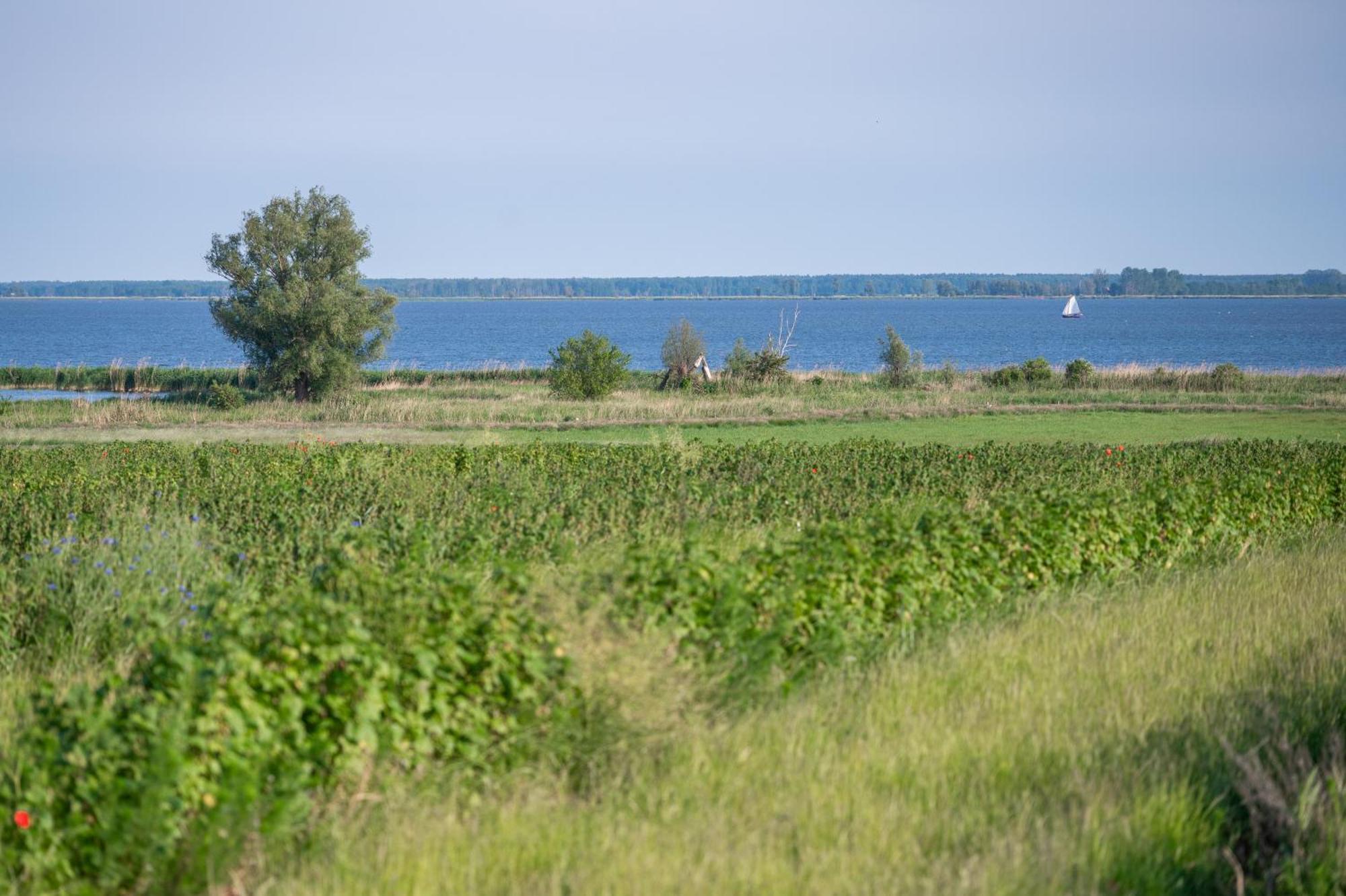 Reusenhof Am Haff * Usedom Town
