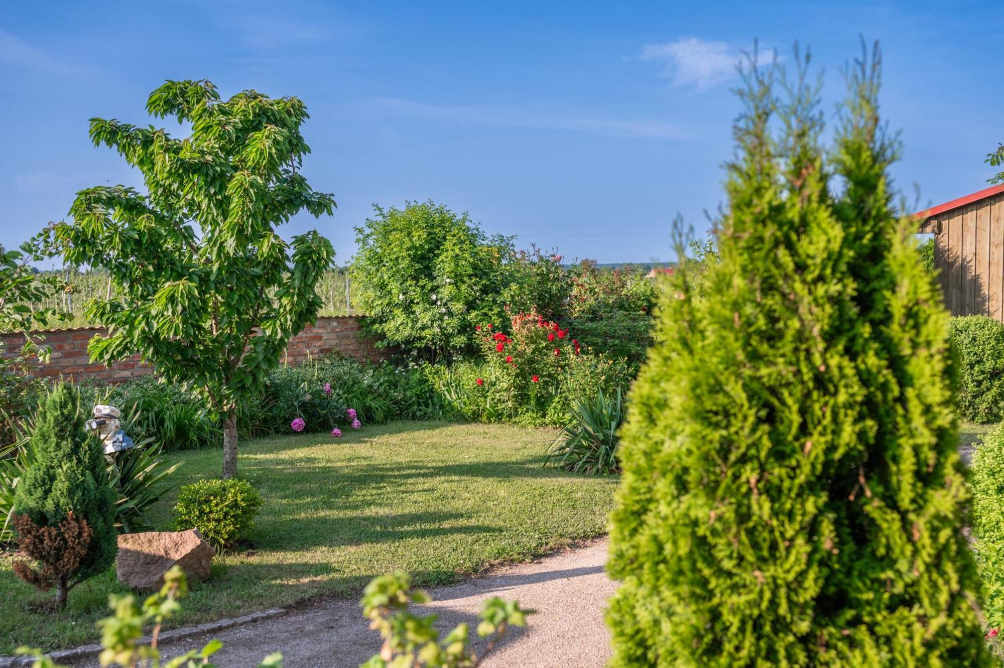 Appartamento Reusenhof Am Haff *